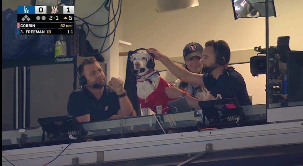 Perdo el perrito, sumado a la transmisión del juego Dodgers-Nationals. Imagen exclusivamente de uso ilustrativo